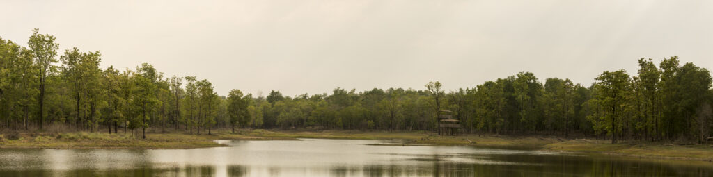 Bandra Lake, Pench National Park