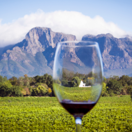 Wine tasting on our rainbow nation south africa tour