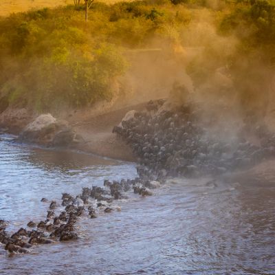 Witness the annual great migration at Masai Mara