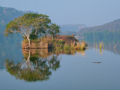 Iconic rajbagh at Ranthambore National Park